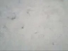 Desi tamil Couple Fucking Outside,